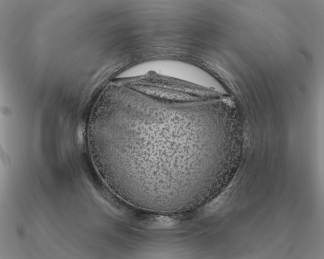 X0000090600166200708071150