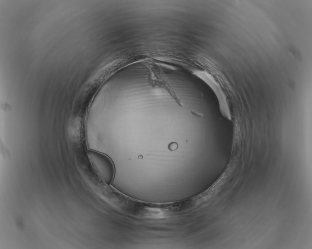 X0000090600167200708071150