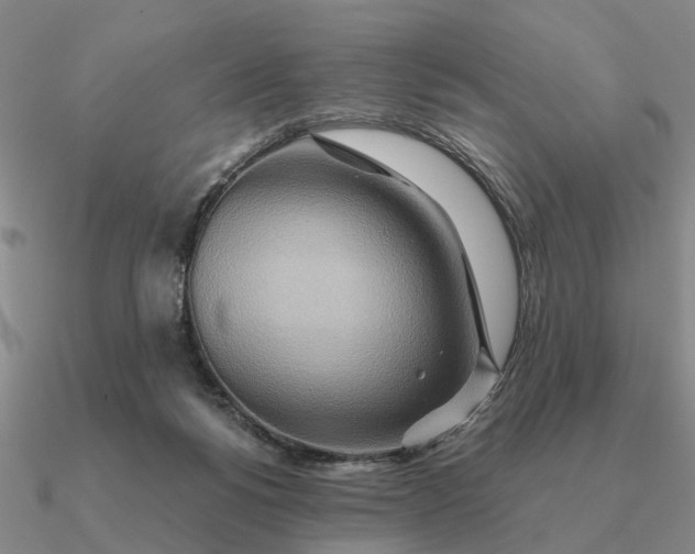 X0000090600168200708071150