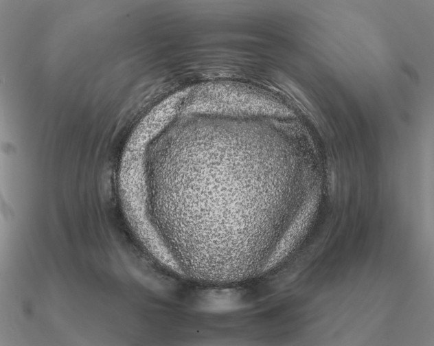 X0000090600169200708071150