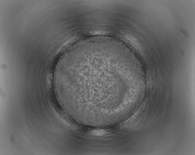 X0000090600171200708071150