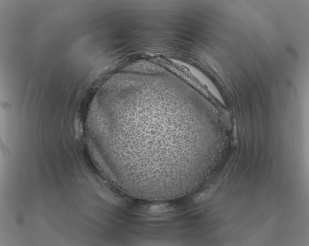 X0000090600173200708071150