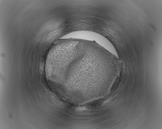 X0000090600177200708071150