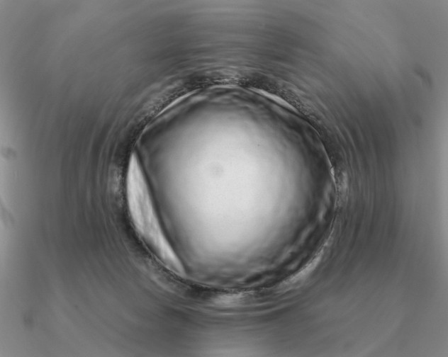 X0000090600178200708071150