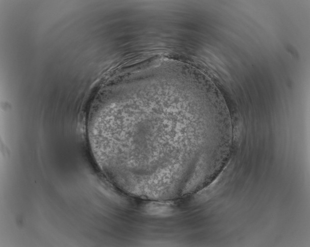 X0000090600179200708071150