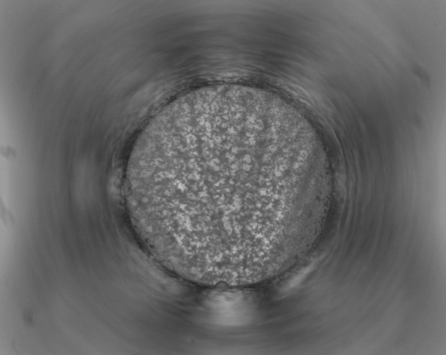 X0000090600181200708071150