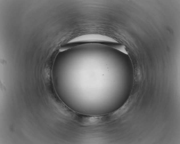 X0000090600184200708071150