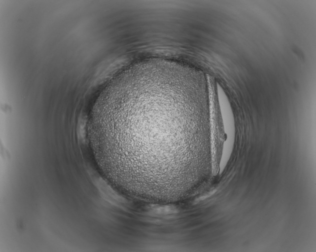 X0000090600185200708071150