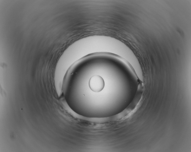 X0000090600186200708071150