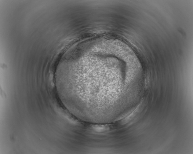 X0000090600187200708071150