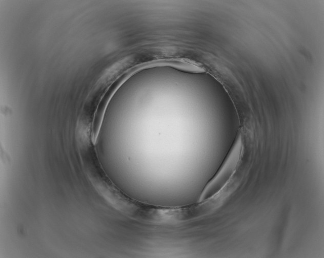 X0000090600188200708071150