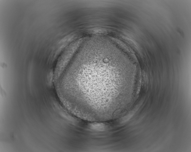 X0000090600189200708071150