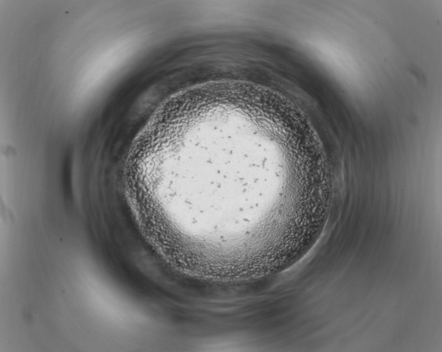 X0000090600191200708071150