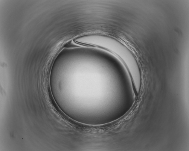 X0000090600193200708071150