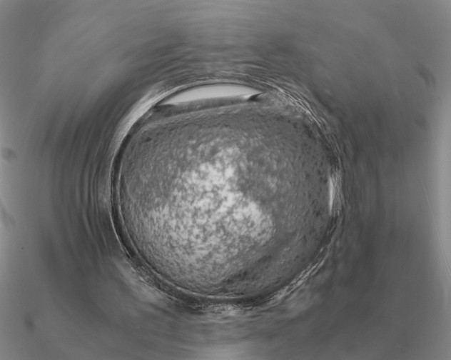 X0000090600195200708071150