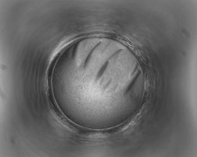 X0000090600198200708071150