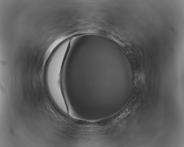 X0000090600200200708071150