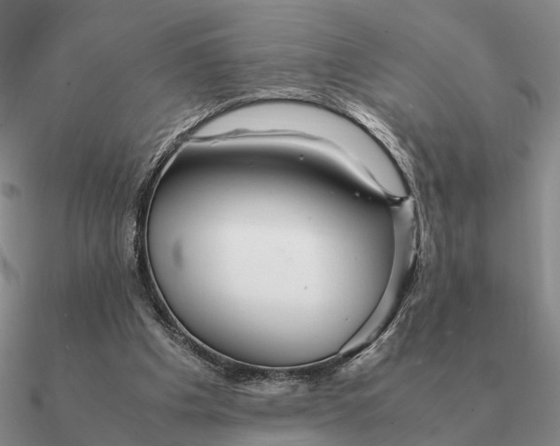 X0000090600201200708071150