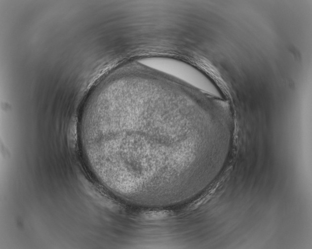 X0000090600202200708071150