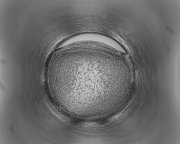 X0000090600203200708071150