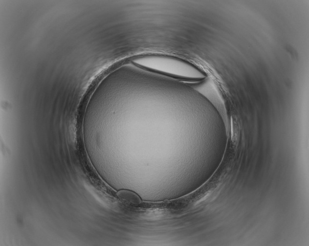 X0000090600204200708071150