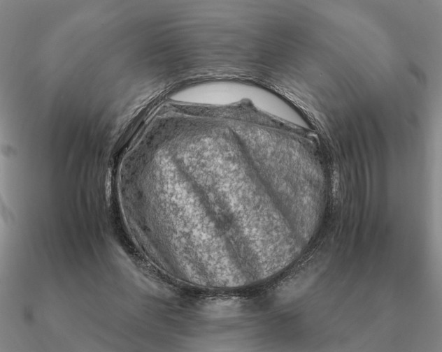 X0000090600206200708071150