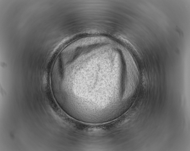 X0000090600208200708071150