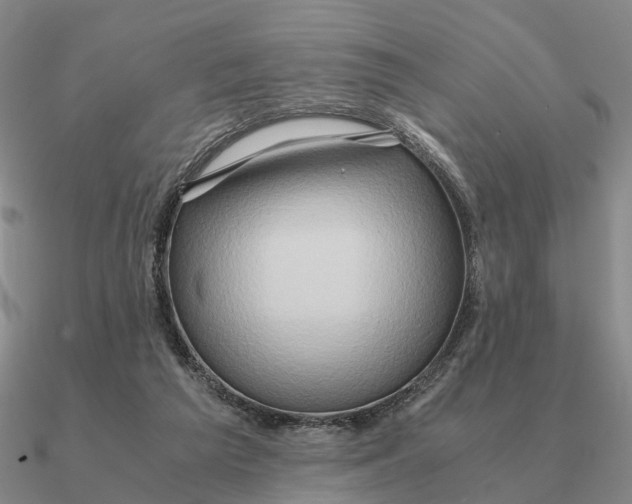 X0000090600209200708071150