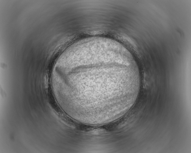 X0000090600210200708071150