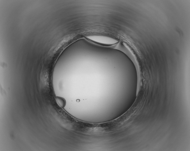 X0000090600212200708071150