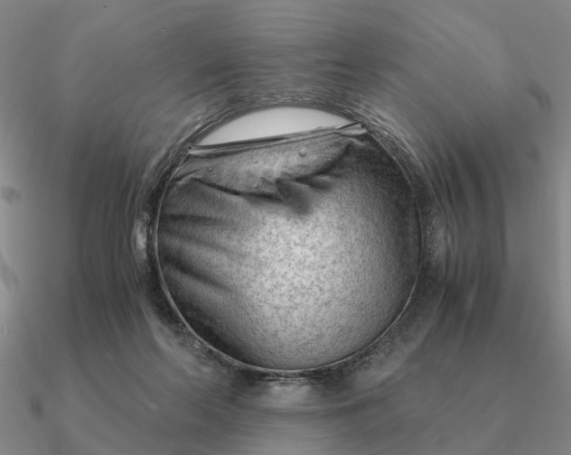 X0000090600214200708071150