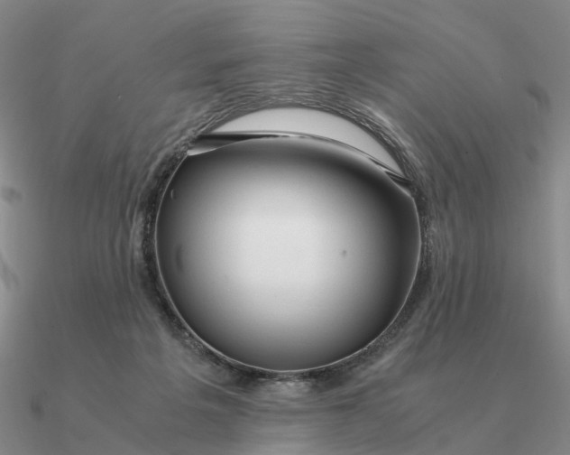 X0000090600217200708071150