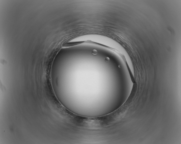 X0000090600221200708071149