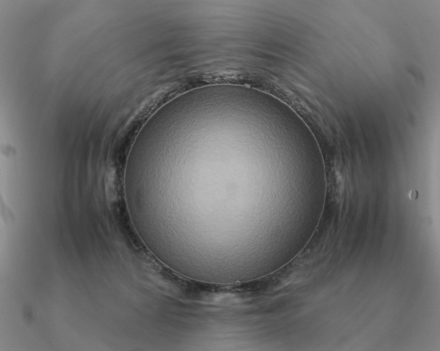 X0000090600224200708071149