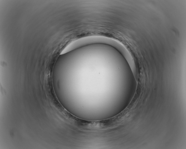 X0000090600225200708071149