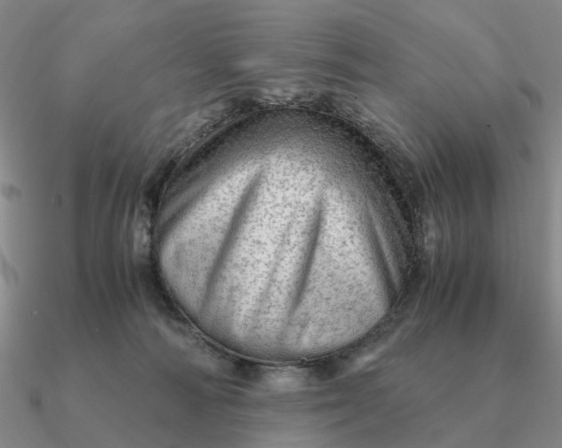 X0000090600226200708071149