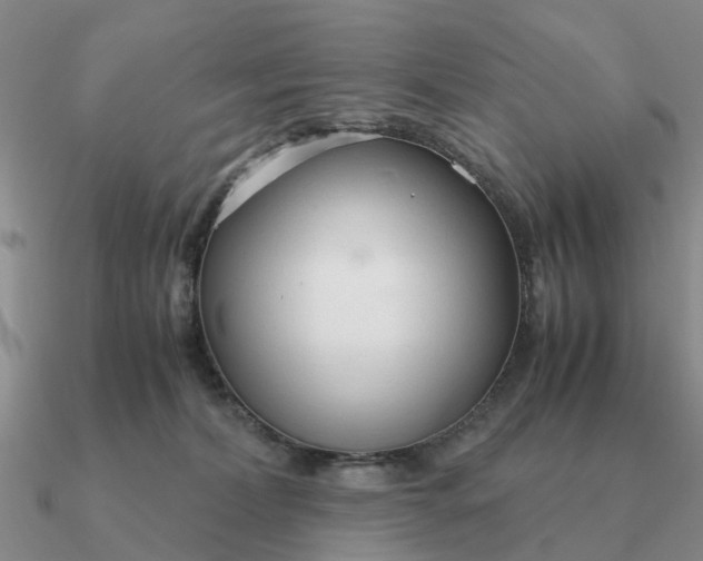 X0000090600228200708071149