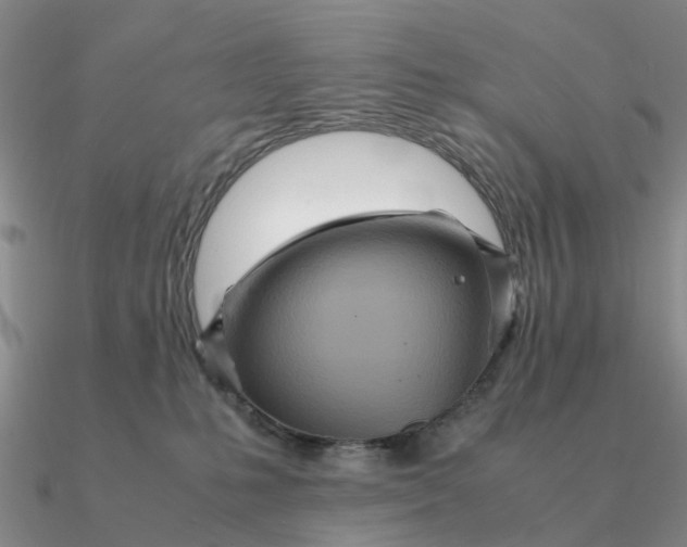 X0000090600231200708071149