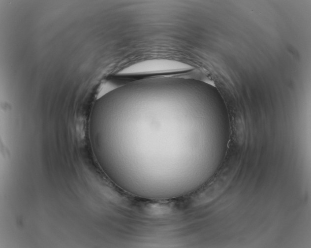 X0000090600232200708071149