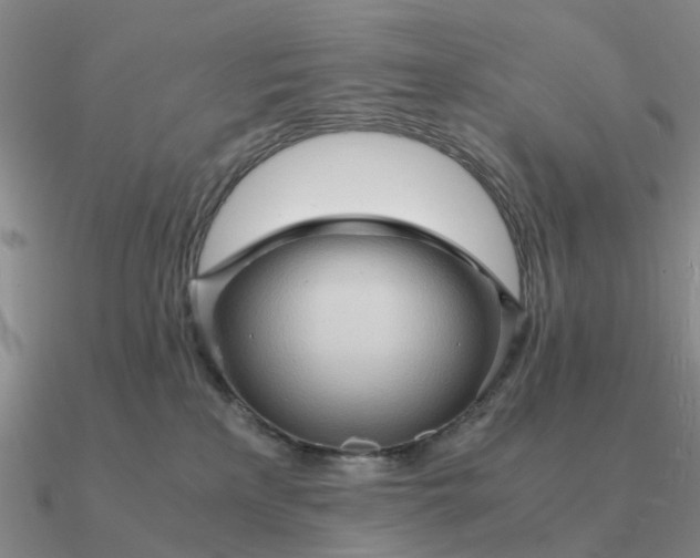 X0000090600233200708071149