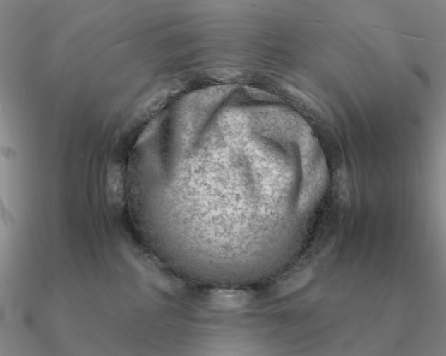 X0000090600234200708071149