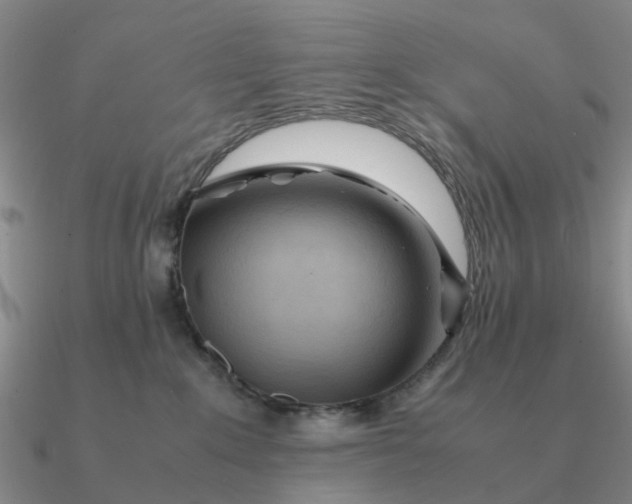 X0000090600235200708071149