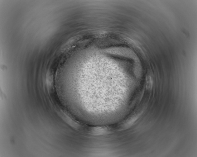 X0000090600238200708071149