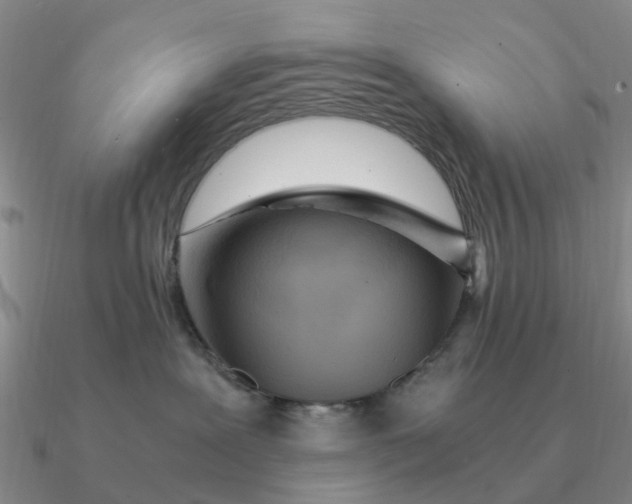 X0000090600239200708071149