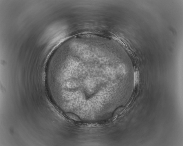 X0000090600243200708071148