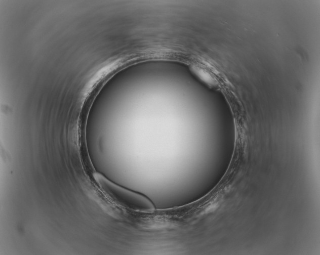 X0000090600244200708071148