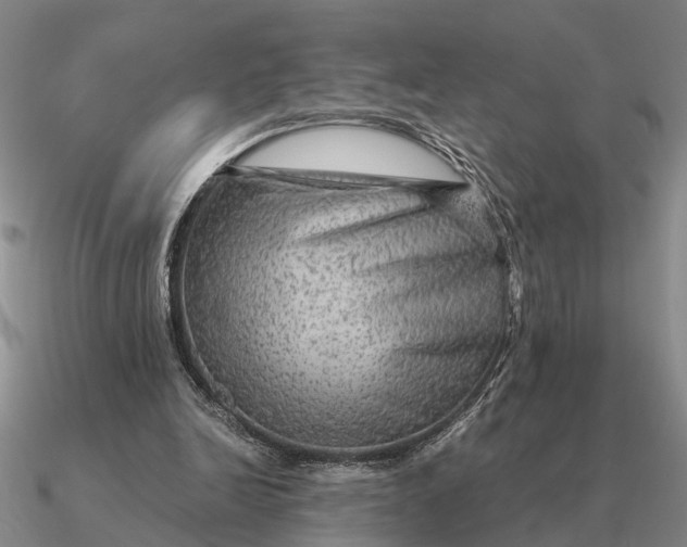 X0000090600246200708071148