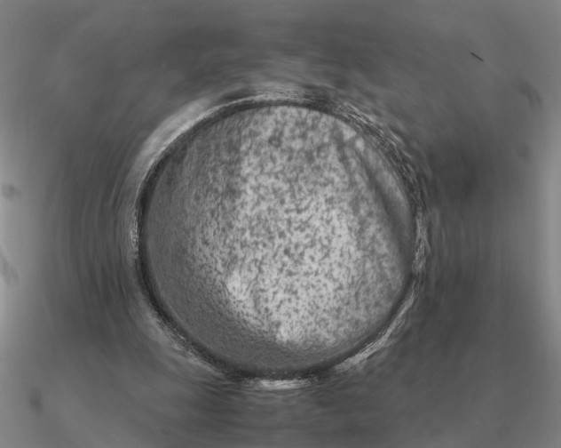 X0000090600247200708071149