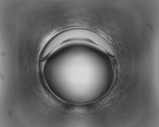 X0000090600248200708071149