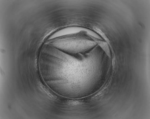 X0000090600249200708071149